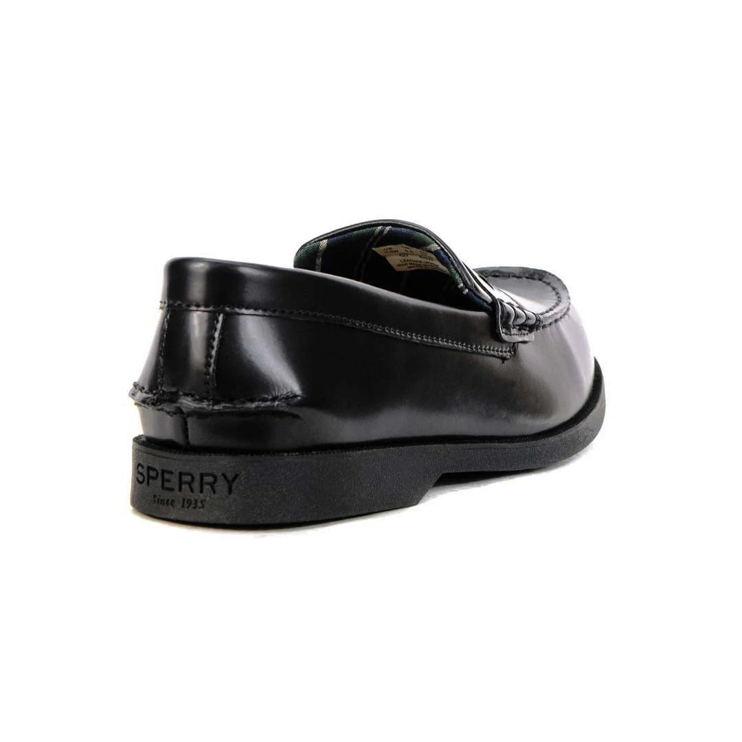 Sperry - Kids' (Preschool) Colton Plushwave Shoes (STK263477-M) - Image 3